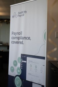 audit my payroll