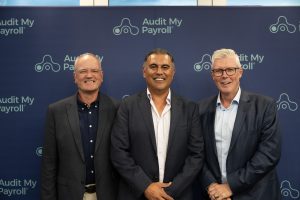 audit my payroll