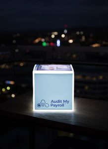 audit my payroll