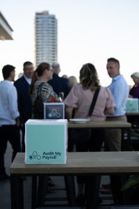 audit my payroll