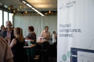 audit my payroll